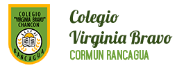 Colegio Virginia Bravo